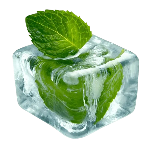 Menthol Crystals Manufacturers In India