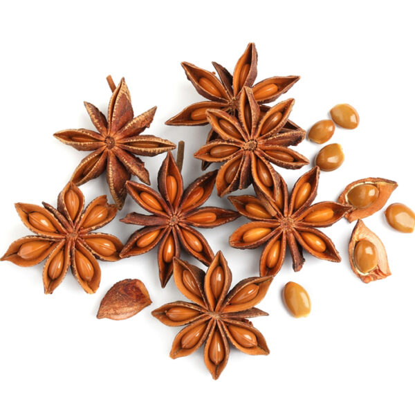 Aniseed Oil Manufacturers In India
