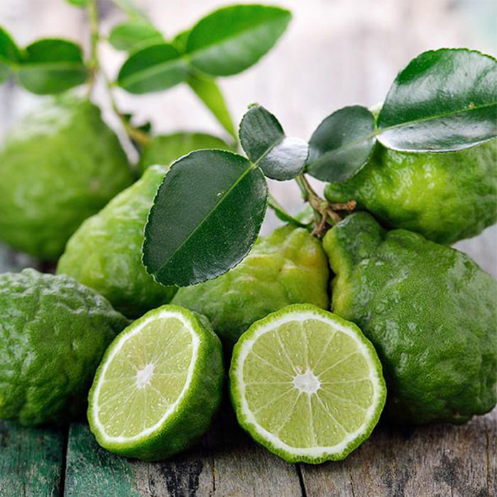 Bergamot Oil Manufacturers In India
