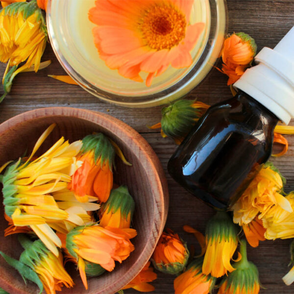 Calendula Oil Manufacturers In India