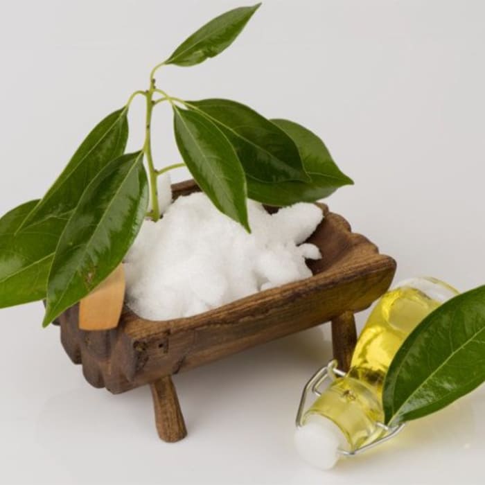 Camphor Oil Manufacturers In India