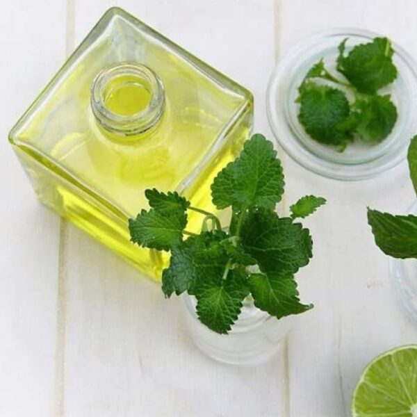 Dementholised Oil Dmo Manufacturers In India
