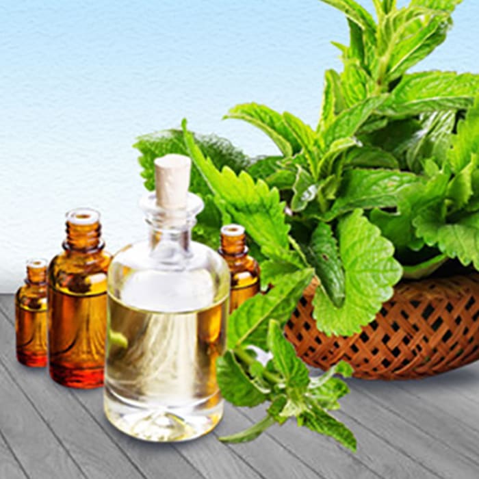 Dementholised Peppermint Oil Manufacturers In India