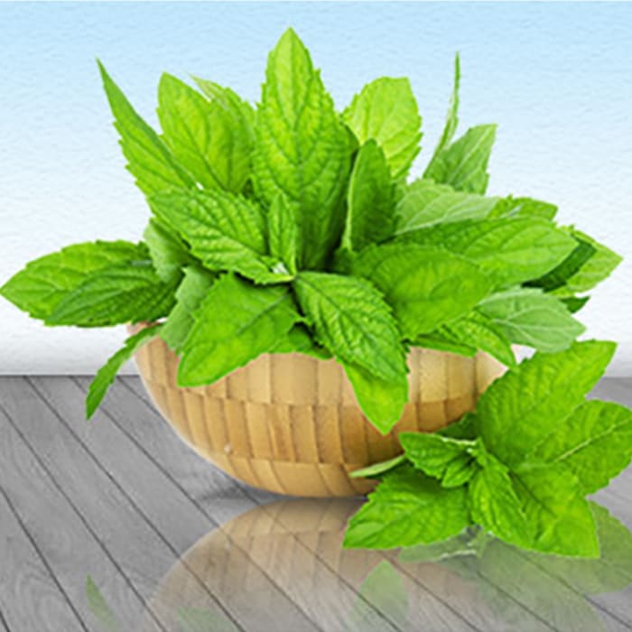 Graded Menthone 70:30, 80:20, 90:10: 95:05 Manufacturers In India