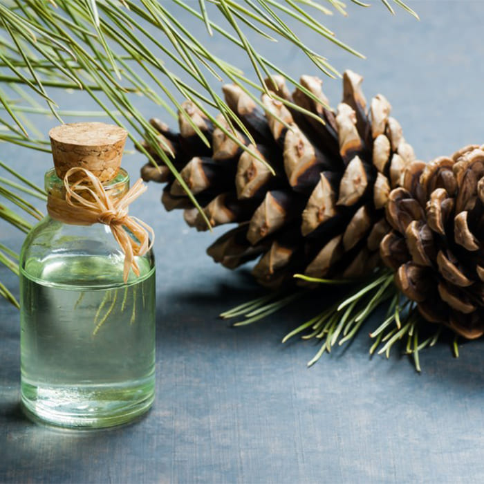 D D Turpentine Oil Manufacturers In India